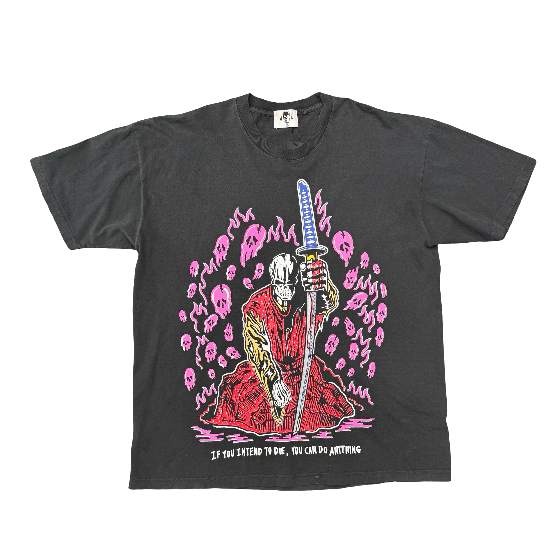 Warren Lotas Pink Skulls T-Shirt Grey — photo 1 of 2